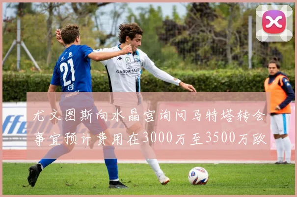 尤文图斯向水晶宫询问马特塔转会事宜预计费用在3000万至3500万欧元之间